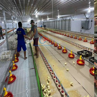 ق235 ق345 هيكل فولاذي عصري بيت الدواجن للزراعة الفعالة